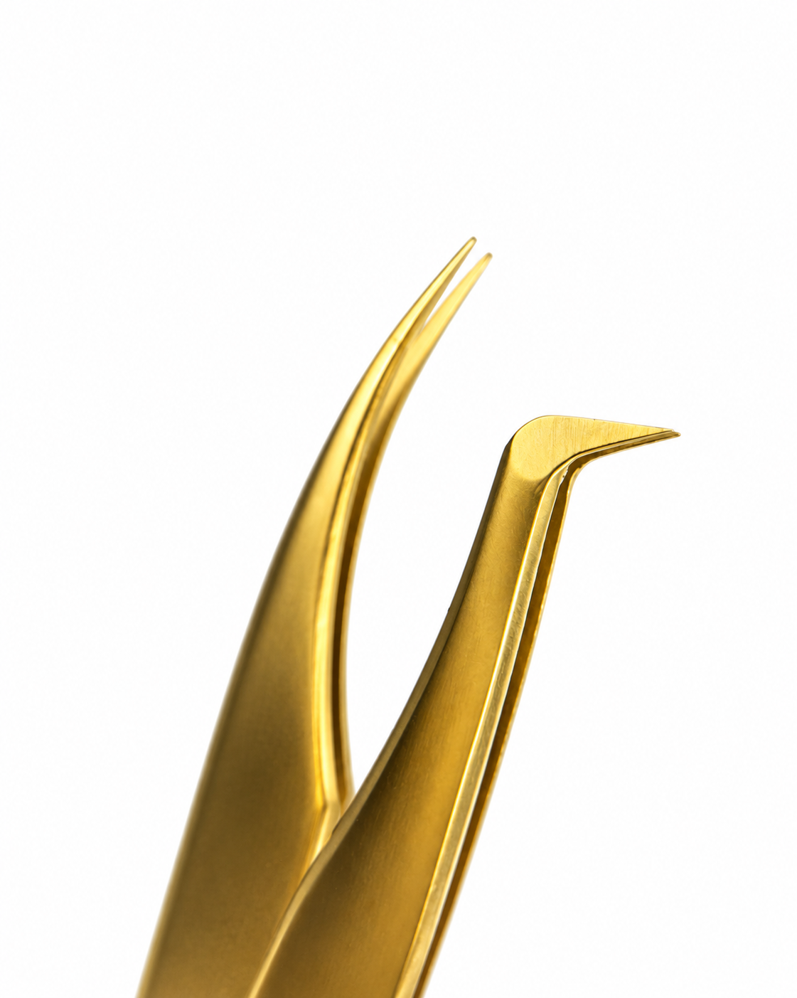 GOLDEN DUO — GS Beauty Depot